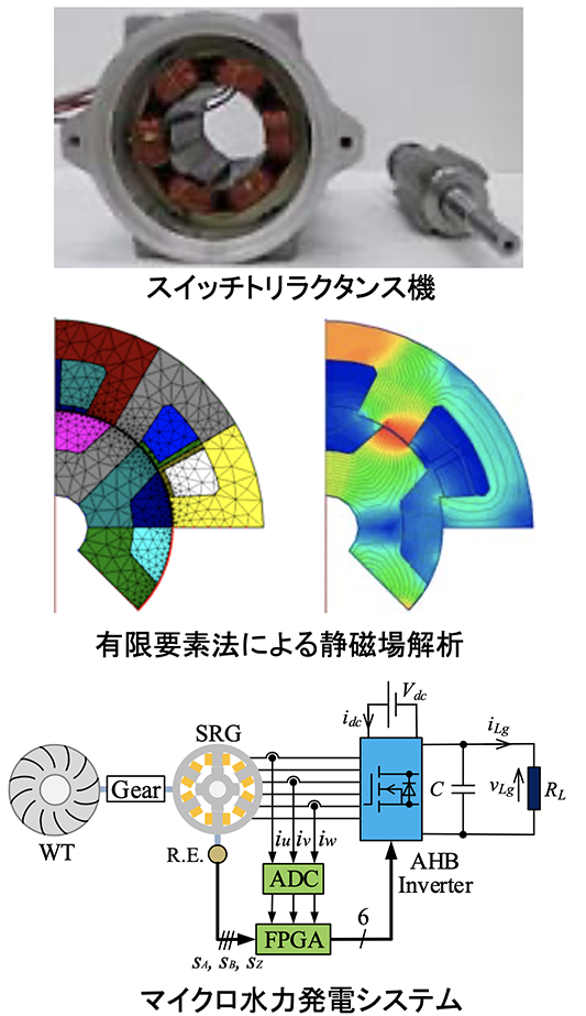 画像:中沢先生の研究内容